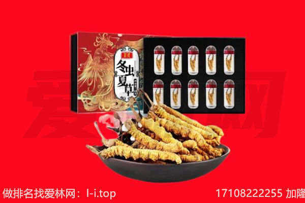 科尔沁区回收虫草.jpg